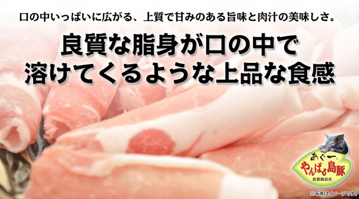 口の中いっぱいに広がる、上質で甘みのある旨味と肉汁の美味しさ。良質な脂身が口の中で溶けてくるような上品な食感